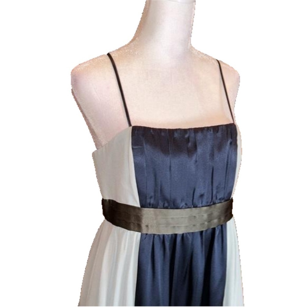 MAXANDCLEO Gorgeous 100% Silk Formal
Strapless Dress Size 8P - Picture 4 of 9